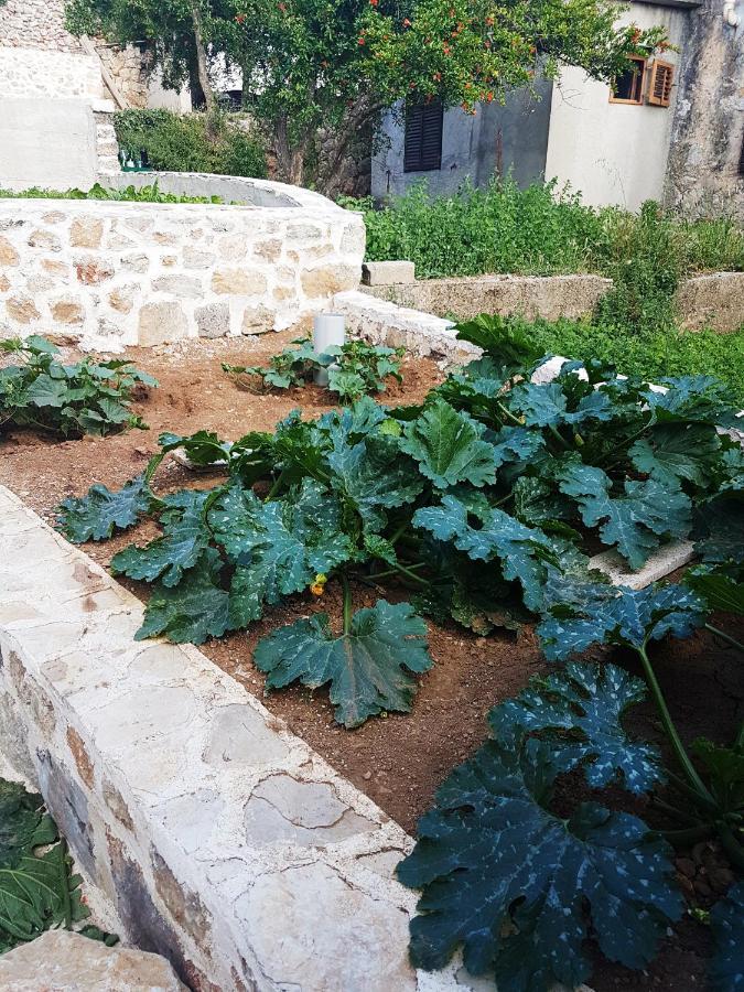 Guest house Kuca Za Odmor Dobrila